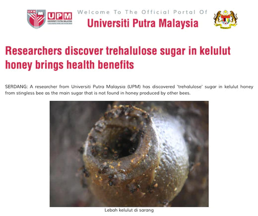 UPM News: Researchers discover trehalulose sugar in kelulut honey brings health benefits