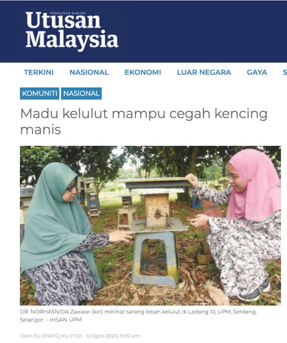Utusan Malaysia: Madu kelulut mampu cegah kencing manis